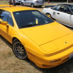 Pictures From the 2017 Western Washington All British Field Meet