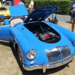 Pictures From the 2017 Western Washington All British Field Meet