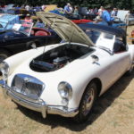 Pictures From the 2017 Western Washington All British Field Meet