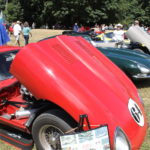 Pictures From the 2017 Western Washington All British Field Meet
