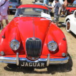 Pictures From the 2017 Western Washington All British Field Meet