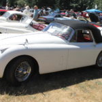 Pictures From the 2017 Western Washington All British Field Meet