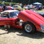 Pictures From the 2017 Western Washington All British Field Meet