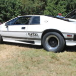 Pictures From the 2017 Western Washington All British Field Meet