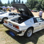 Pictures From the 2017 Western Washington All British Field Meet