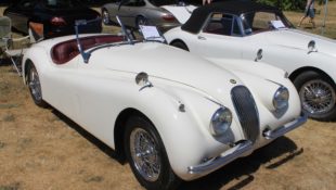 Western Washington All British Field Meet