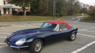 Carlisle-Jaguar_6636