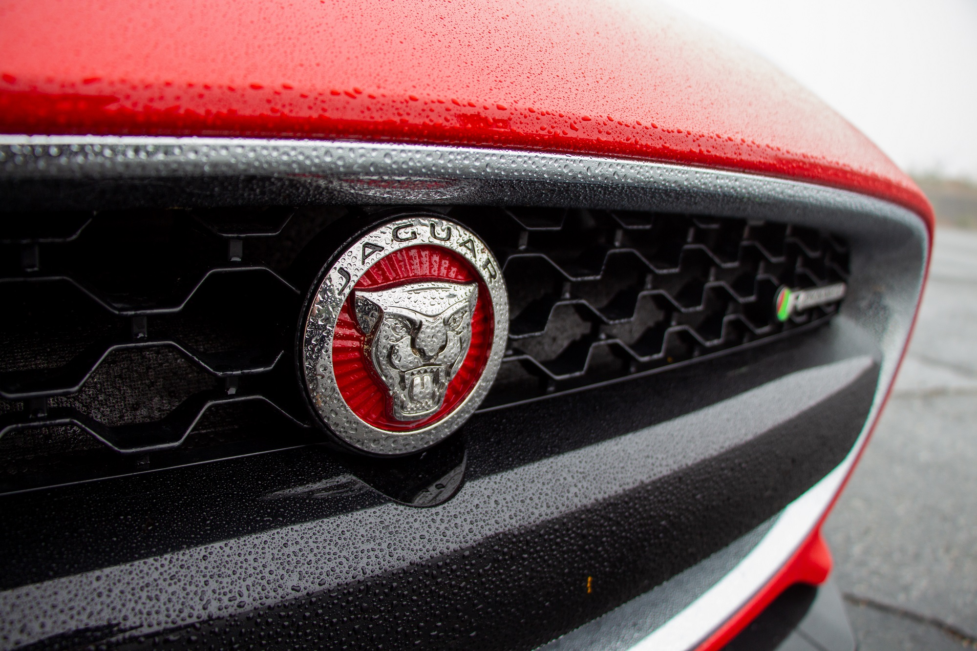 Jaguar F-TYPE Coupe P380 Supercharged V6 Engine Interior Exterior Colors Options Jake Stumph