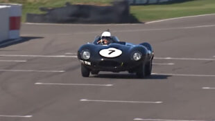 D-Type Longnose Jaguar