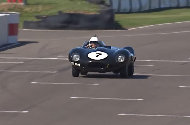 D-Type Longnose Jaguar